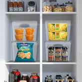 Plastic Container Bins with Lids